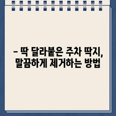 주차 딱지 제거부터 유리 청소까지! 자동차 세차 완벽 가이드 | 주차 딱지 제거, 유리 청소, 세차 꿀팁, 자동차 관리