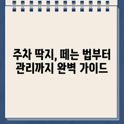 주차 딱지 제거부터 차유리 청소까지! 세차 꿀팁 총정리 | 주차 딱지, 차유리, 세차, 자동차 관리, 팁