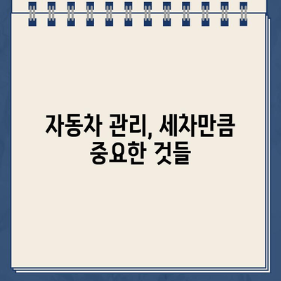 주차 딱지 제거부터 차유리 청소까지! 세차 꿀팁 총정리 | 주차 딱지, 차유리, 세차, 자동차 관리, 팁