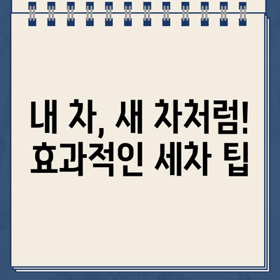 주차 딱지 제거부터 차유리 청소까지! 세차 꿀팁 총정리 | 주차 딱지, 차유리, 세차, 자동차 관리, 팁