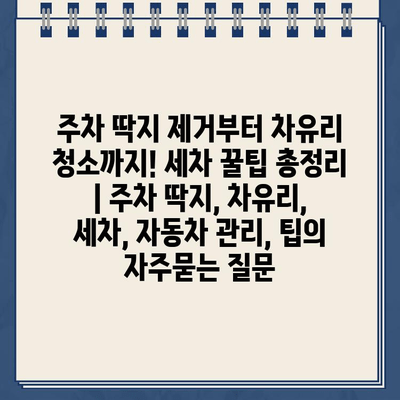 주차 딱지 제거부터 차유리 청소까지! 세차 꿀팁 총정리 | 주차 딱지, 차유리, 세차, 자동차 관리, 팁