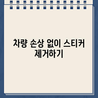 불법 주차 스티커 제거| 차량 보호 꿀팁 대공개 | 스티커 제거, 차량 손상 방지, 주차 딱지