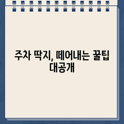 불법 주차 스티커 제거| 차량 보호 꿀팁 대공개 | 스티커 제거, 차량 손상 방지, 주차 딱지