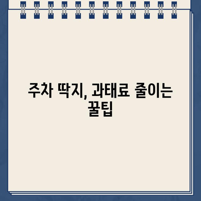 주차 딱지, 이제 걱정 끝! 쉽고 빠르게 해결하는 꿀팁 | 주차 위반, 딱지 제거, 과태료, 주차 딱지 해결