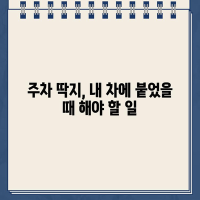 주차 딱지, 이제 걱정 끝! 쉽고 빠르게 해결하는 꿀팁 | 주차 위반, 딱지 제거, 과태료, 주차 딱지 해결