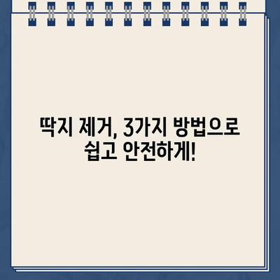 유리 주차 딱지 제거하기| 쉽고 안전하게 떼어내는 3가지 방법 | 주차 딱지, 딱지 제거, 유리 흠집 방지