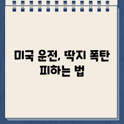 미국에서 처음 운전? 주차 딱지 폭탄? | 운전 팁, 주차 꿀팁, 미국 주차 규칙