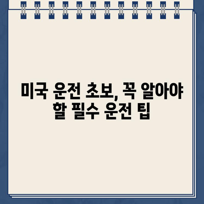 미국에서 처음 운전? 주차 딱지 폭탄? | 운전 팁, 주차 꿀팁, 미국 주차 규칙