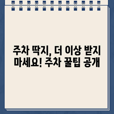 미국에서 처음 운전? 주차 딱지 폭탄? | 운전 팁, 주차 꿀팁, 미국 주차 규칙