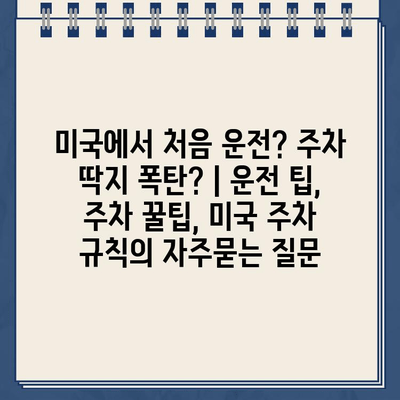 미국에서 처음 운전? 주차 딱지 폭탄? | 운전 팁, 주차 꿀팁, 미국 주차 규칙