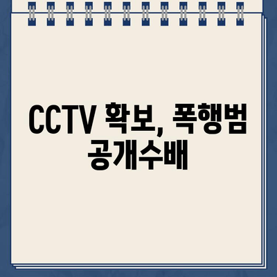 주차 딱지 붙였다고 경비원 폭행, 골절상 입히고 도주 | 폭행, 상해, 도주, CCTV, 공개수배