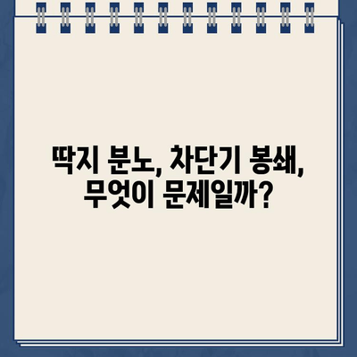 주차 딱지 분노, SUV로 차단기 입구 봉쇄?! | 격정적인 대응, 그 이면에 숨겨진 이야기