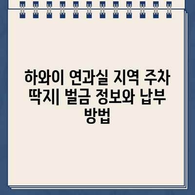 하와이 연과실 지역 주차 딱지| 벌금 정보와 온라인 결제 방법 | 주차 위반, 벌금 납부, 하와이 주차 규정