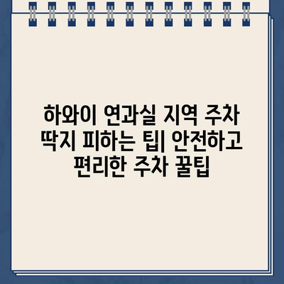 하와이 연과실 지역 주차 딱지| 벌금 정보와 온라인 결제 방법 | 주차 위반, 벌금 납부, 하와이 주차 규정