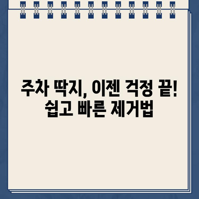 주차 딱지 제거 & 자동차 유리 청소 꿀팁| 깨끗한 차 유지하기 | 주차 딱지, 유리 청소, 자동차 관리, 팁