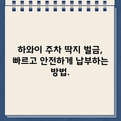 하와이 주차 딱지 벌금, 한국에서 간편하게 해결하세요! | 하와이 주차 위반, 벌금 납부, 해외 벌금 납부, 한국에서 납부