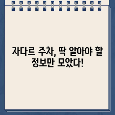 크로아티아 자다르 주차 완벽 가이드| 위치, 요금, 벌금 정보 총정리 | 주차팁, 주차장 추천, 주차 요금 계산