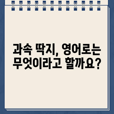 주차 위반 딱지 & 과속 딱지 영어로 설명하기| 미국, 영국, 호주 용어 비교 | 주차, 과속, 딱지, 영어, 용어, 비교