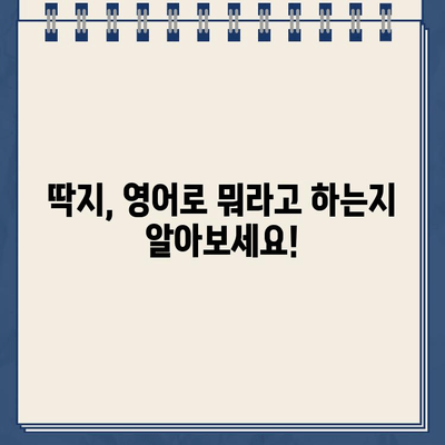 주차 위반 딱지 & 과속 딱지 영어로 설명하기| 미국, 영국, 호주 용어 비교 | 주차, 과속, 딱지, 영어, 용어, 비교