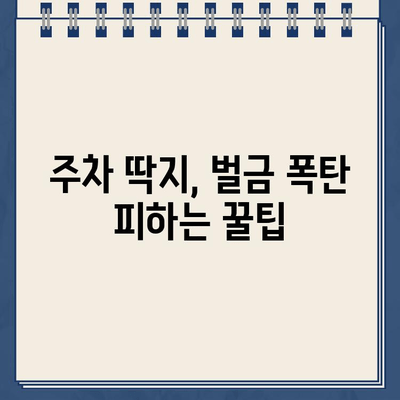 미국 첫 주행, 주차 딱지?! 😱 | 미국 주차 규정, 벌금, 해결 팁