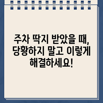 미국 첫 주행, 주차 딱지?! 😱 | 미국 주차 규정, 벌금, 해결 팁