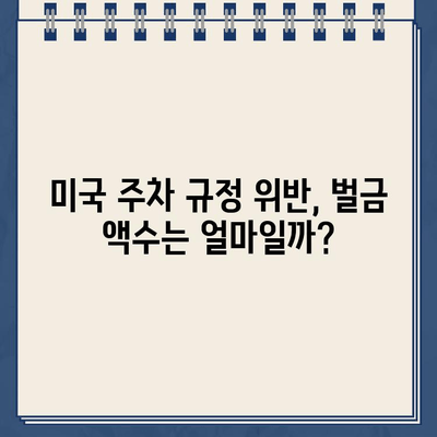 미국 첫 주행, 주차 딱지?! 😱 | 미국 주차 규정, 벌금, 해결 팁