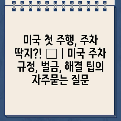 미국 첫 주행, 주차 딱지?! 😱 | 미국 주차 규정, 벌금, 해결 팁