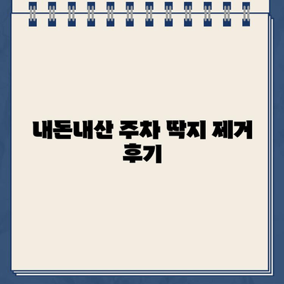 유리 스티커 주차 딱지, 이제 걱정 끝! 깔끔하게 제거하는 꿀팁 | 내돈내산, 주차딱지 제거, 유리 스티커 제거