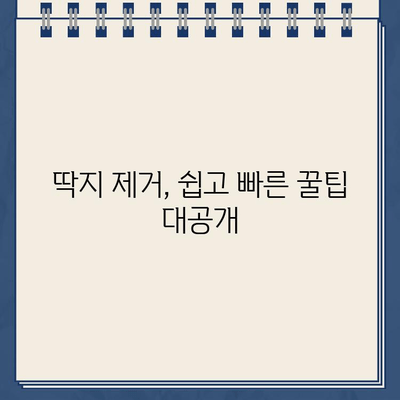 끈적끈적 주차딱지, 이젠 걱정 끝! 쉽고 깨끗하게 제거하는 꿀팁 | 주차딱지 제거, 딱지 제거 방법, 딱지 제거 팁