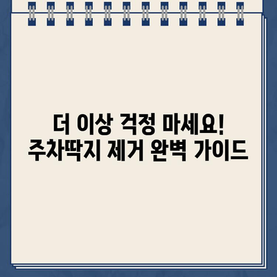 끈적끈적 주차딱지, 이젠 걱정 끝! 쉽고 깨끗하게 제거하는 꿀팁 | 주차딱지 제거, 딱지 제거 방법, 딱지 제거 팁