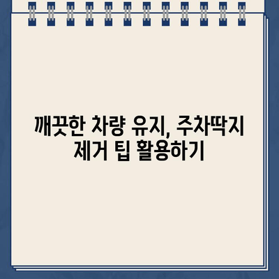 끈적끈적 주차딱지, 이젠 걱정 끝! 쉽고 깨끗하게 제거하는 꿀팁 | 주차딱지 제거, 딱지 제거 방법, 딱지 제거 팁