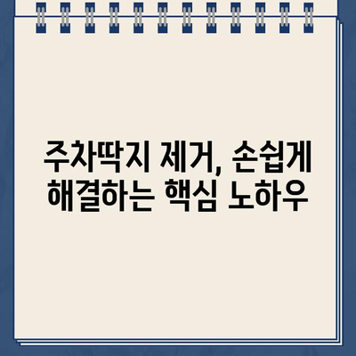 끈적끈적 주차딱지, 이젠 걱정 끝! 쉽고 깨끗하게 제거하는 꿀팁 | 주차딱지 제거, 딱지 제거 방법, 딱지 제거 팁