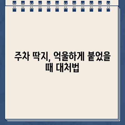 주차 위반 딱지, 이렇게 해결하세요! | 불법 주차, 딱지 제거, 주차 위반 벌금, 주차 딱지 해결 팁