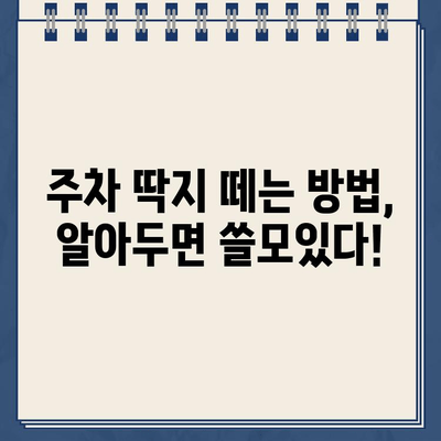 주차 딱지보다 두려운 "나"의 등장! | 주차 딱지, 벌금, 딱지 떼는 방법, 주차 팁