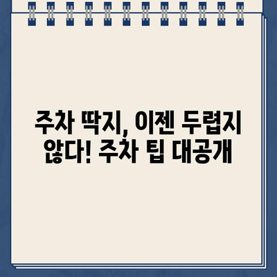 주차 딱지보다 두려운 "나"의 등장! | 주차 딱지, 벌금, 딱지 떼는 방법, 주차 팁