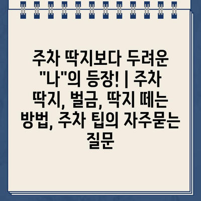 주차 딱지보다 두려운 "나"의 등장! | 주차 딱지, 벌금, 딱지 떼는 방법, 주차 팁