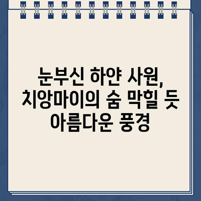 치앙마이 흰색 사원, 과일 시장, 그리고 불운한 주차 딱지| 잊지 못할 여행의 기억 | 치앙마이, 여행 후기, 팁, 주차 딱지