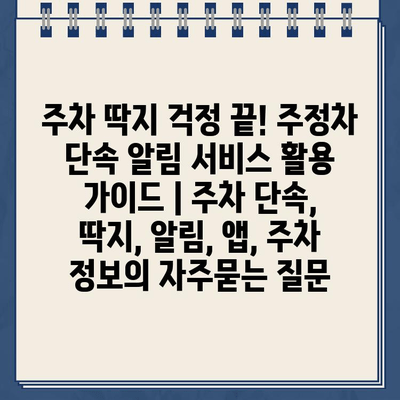 주차 딱지 걱정 끝! 주정차 단속 알림 서비스 활용 가이드 | 주차 단속, 딱지, 알림, 앱, 주차 정보