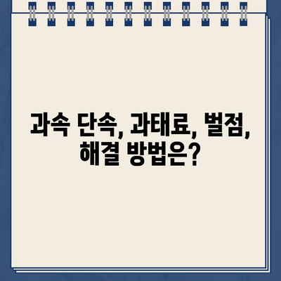 과속 딱지, 이젠 당황하지 마세요! 딱지 해결 솔루션 | 과속 단속, 과태료, 벌점, 이의신청, 운전면허