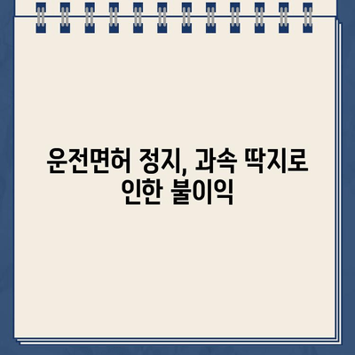 과속 딱지, 이젠 당황하지 마세요! 딱지 해결 솔루션 | 과속 단속, 과태료, 벌점, 이의신청, 운전면허