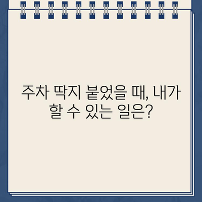 주차 딱지로 인한 퍼즐 같은 하루| 이제 어떻게 해야 할까요? | 주차 딱지, 벌금, 해결 방안, 팁