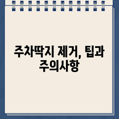 주차딱지 제거 완벽 가이드| 스티커를 깨끗이 없애는 5가지 비법 | 주차딱지, 스티커 제거, 잔여물 제거, 팁