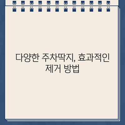 주차딱지 제거 완벽 가이드| 스티커를 깨끗이 없애는 5가지 비법 | 주차딱지, 스티커 제거, 잔여물 제거, 팁