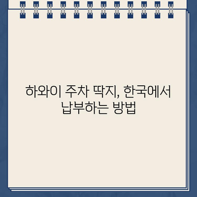 하와이 주차 딱지 벌금, 한국에서 해결하는 방법 | 하와이 주차 위반, 벌금 납부, 해외 주차 딱지