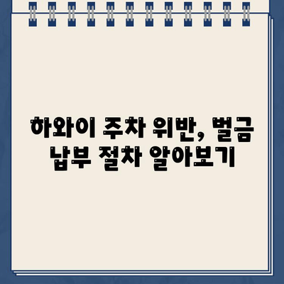 하와이 주차 딱지 벌금, 한국에서 해결하는 방법 | 하와이 주차 위반, 벌금 납부, 해외 주차 딱지