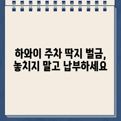 하와이 주차 딱지 벌금, 한국에서 해결하는 방법 | 하와이 주차 위반, 벌금 납부, 해외 주차 딱지