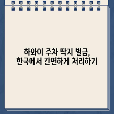 하와이 주차 딱지 벌금, 한국에서 해결하는 방법 | 하와이 주차 위반, 벌금 납부, 해외 주차 딱지