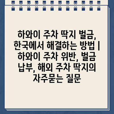 하와이 주차 딱지 벌금, 한국에서 해결하는 방법 | 하와이 주차 위반, 벌금 납부, 해외 주차 딱지