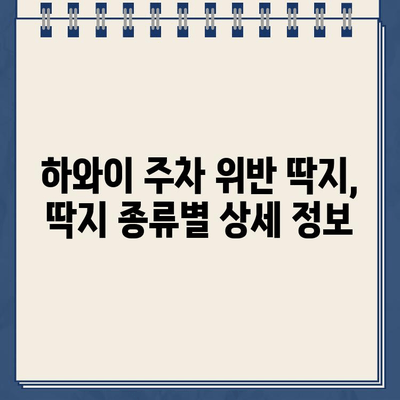 하와이 주차 위반 딱지, 이렇게 해결하세요! | 견인 위험, 온라인 납부, 상세 가이드