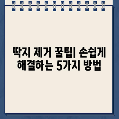 끈적끈적 주차딱지, 이제 걱정 끝! 깔끔하게 제거하는 5가지 방법 | 주차딱지 제거, 딱지 제거 팁, 딱지 제거 방법, 주차딱지 제거 요령